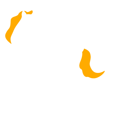 tymviosdesigns.com