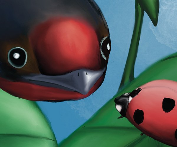 swallows